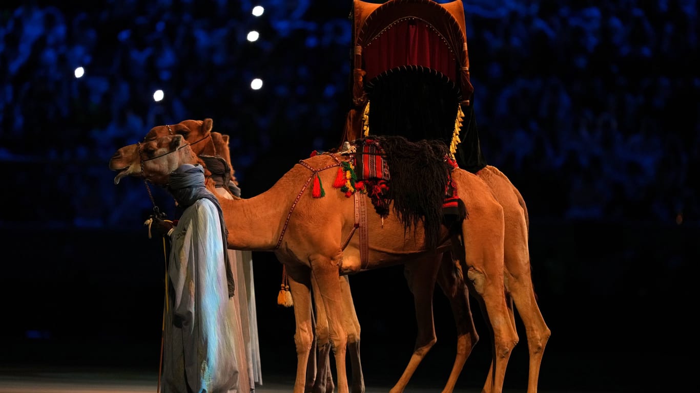 Dürfen nicht fehlen: Kamele als Teil der Eröffnungsfeier.