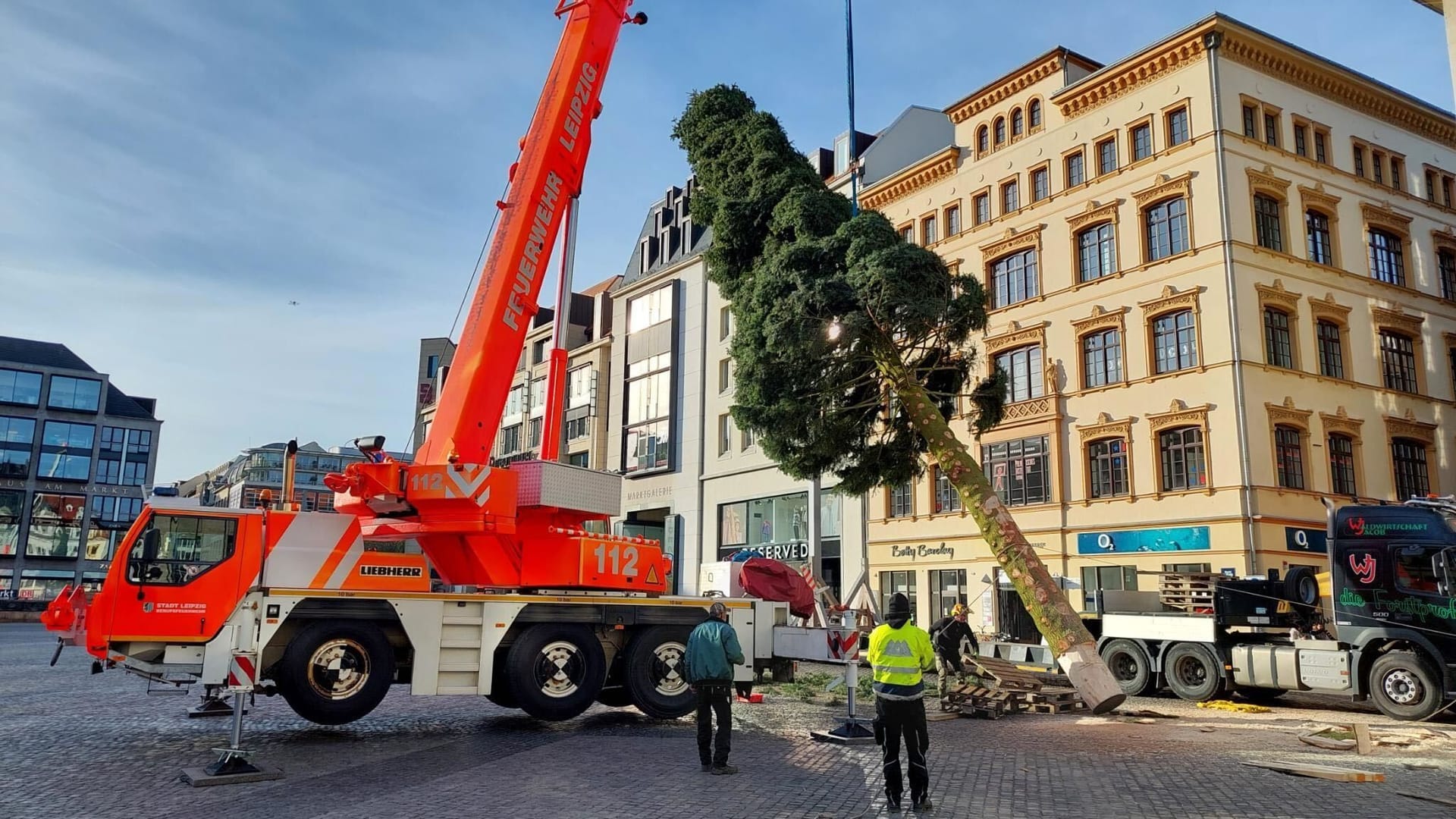 Donnerstagfrüh am Markt in Leipzig: Die Berufsfeuerwehr half beim Aufstellen des Weihnachtsbaumes.