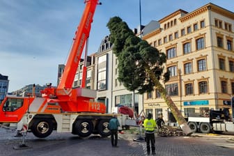Donnerstagfrüh am Markt in Leipzig: Die Berufsfeuerwehr half beim Aufstellen des Weihnachtsbaumes.