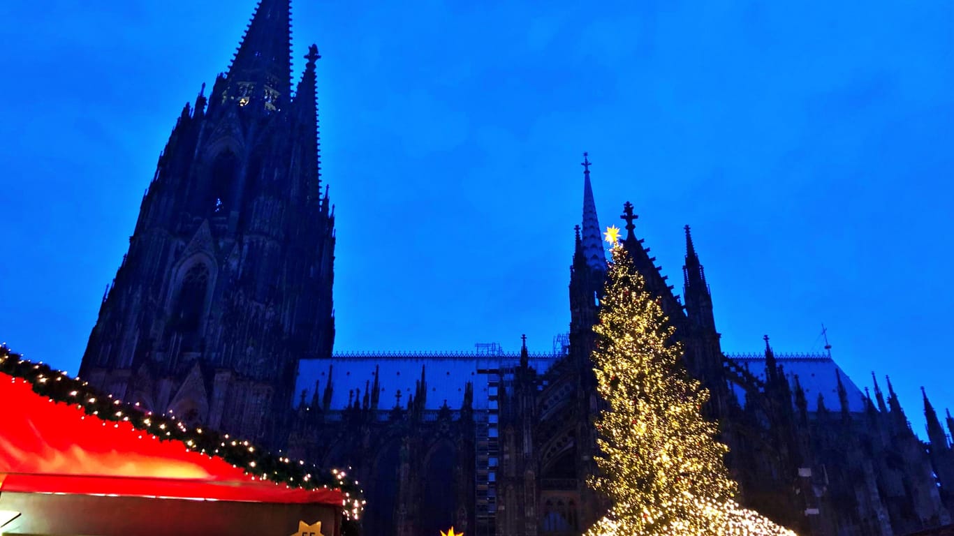 Dunkler Dom, heller Baum: Die Beleuchtung der Kathedrale wird wegen der Energie-Krise pausiert.