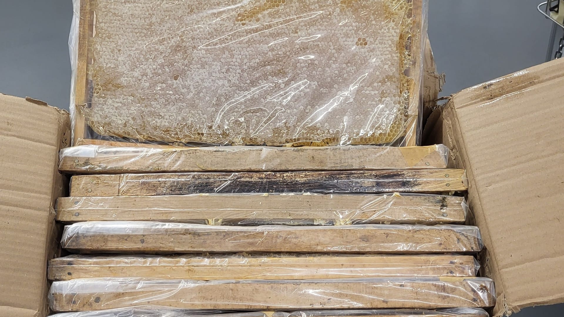 Beamte des Hauptzollamtes Stuttgart entdeckten mehr als 400 Kilogramm Honig: Die Ware bestand aus Honig in Waben und flüssigem Honig in Kanistern. Beamte des Hauptzollamtes Stuttgart entdeckten mehr als 400 Kilogramm Honig: Die Ware bestand aus Honig in Waben und flüssigem Honig in Kanistern.
