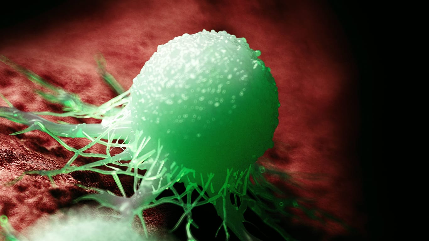 Tumore kommunizieren mittels Botenstoffen über die Blutbahn mit Metastasen in anderen Geweben.