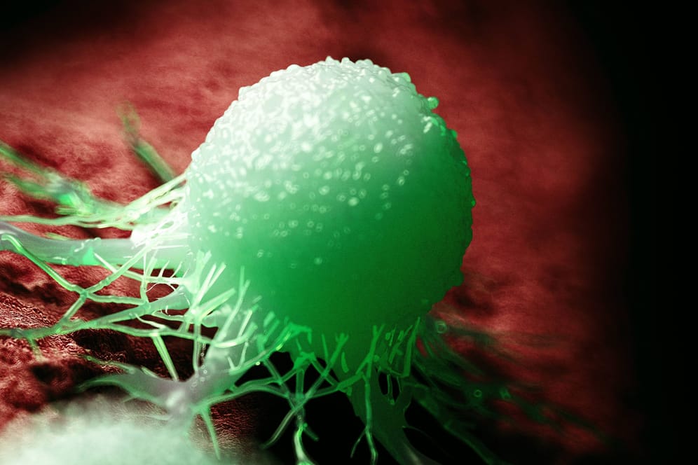 Tumore kommunizieren mittels Botenstoffen über die Blutbahn mit Metastasen in anderen Geweben.