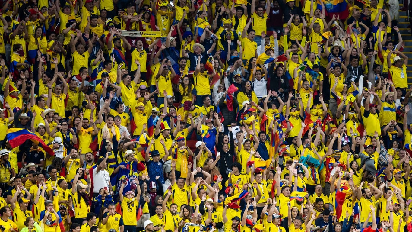 Ecuador-Fans