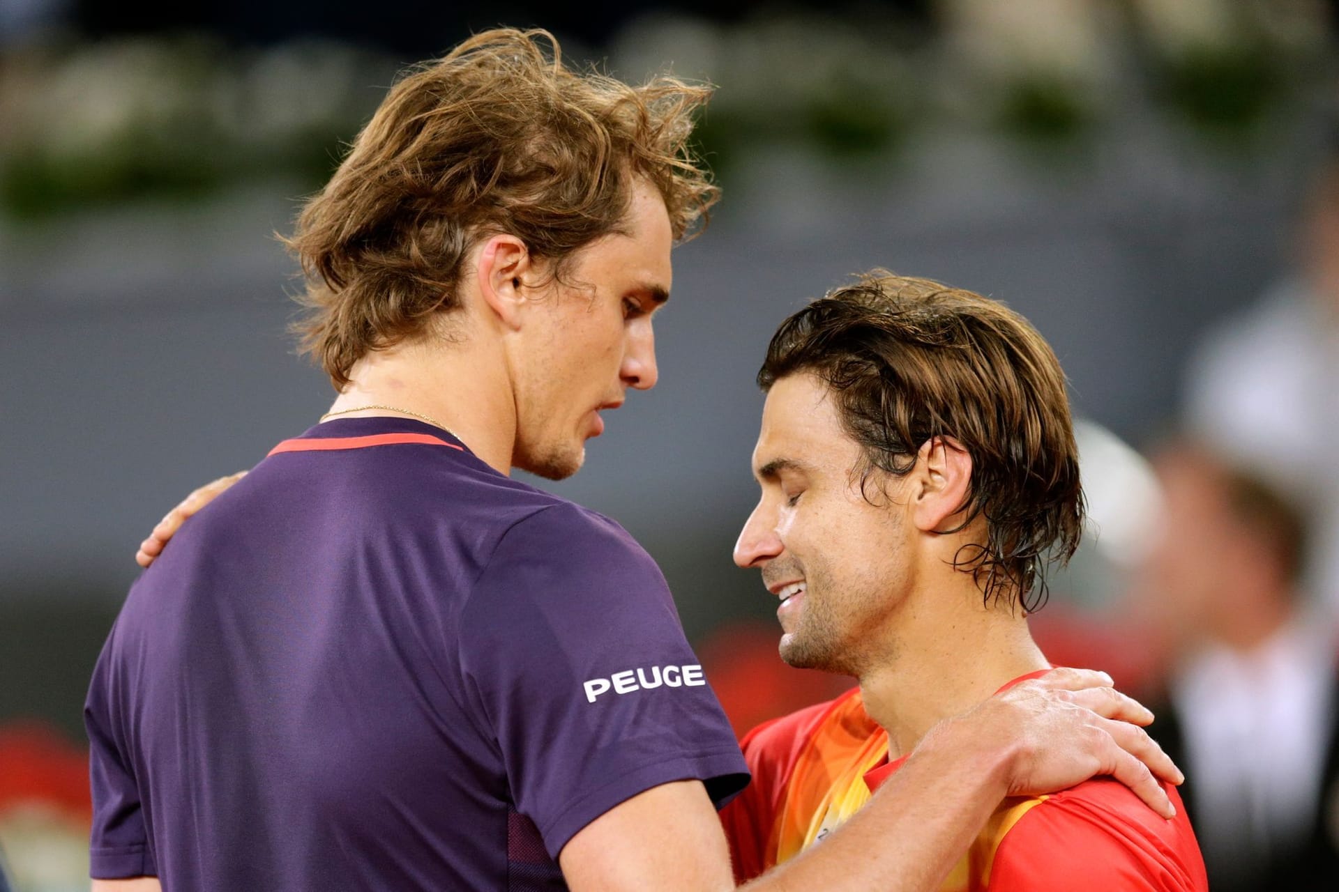 Zverev und Ferrer