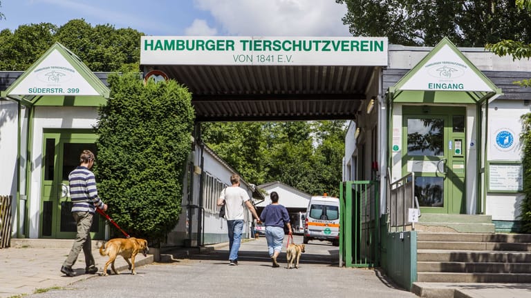 Das Tierheim Süderstraße (Archivbild): Der unheimliche Überfall im Oktober könnte bloß vorgetäuscht worden sein,