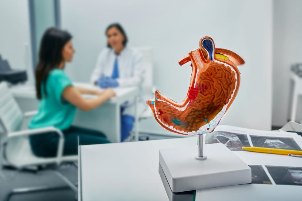 Modell eines Magens, im Hintergrund eine Patientin im Gespräch mit einer Ärztin