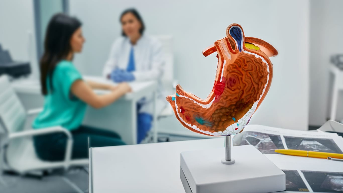 Modell eines Magens, im Hintergrund eine Patientin im Gespräch mit einer Ärztin