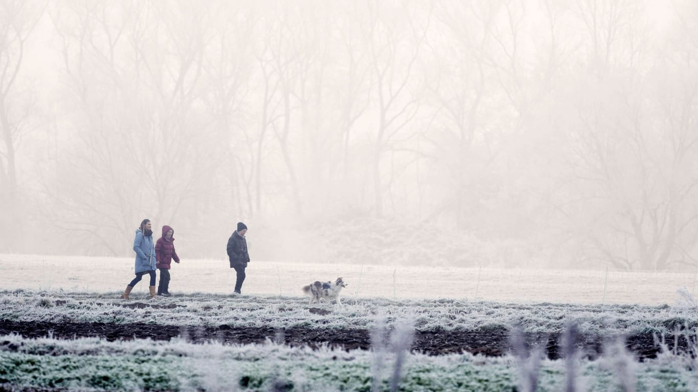 Spaziergänger mit Hund (Archivbild): Einen Hauch von Schnee gibt es am Wochenende in Teilen Bayerns.