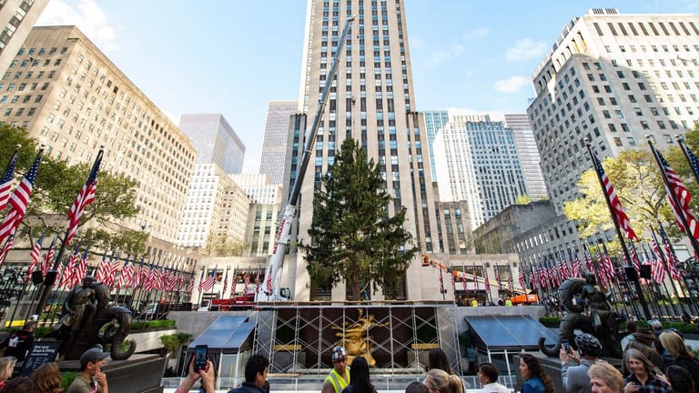 Weihnachtsbaum am Rockefeller Center: Ende des Monats sollen mehr als 50.000 bunte Lichter am Baum entzündet werden.