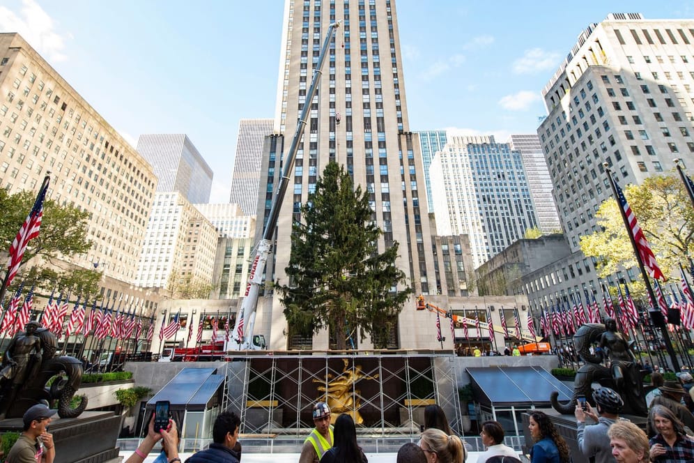 Weihnachtsbaum am Rockefeller Center: Ende des Monats sollen mehr als 50.000 bunte Lichter am Baum entzündet werden.