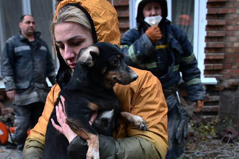 Eine Frau in der ukrainischen Stadt Mikolajew rettet einen Hund aus einem Gebäude, das mutmaßlich von einer russischen Rakete getroffen wurde.