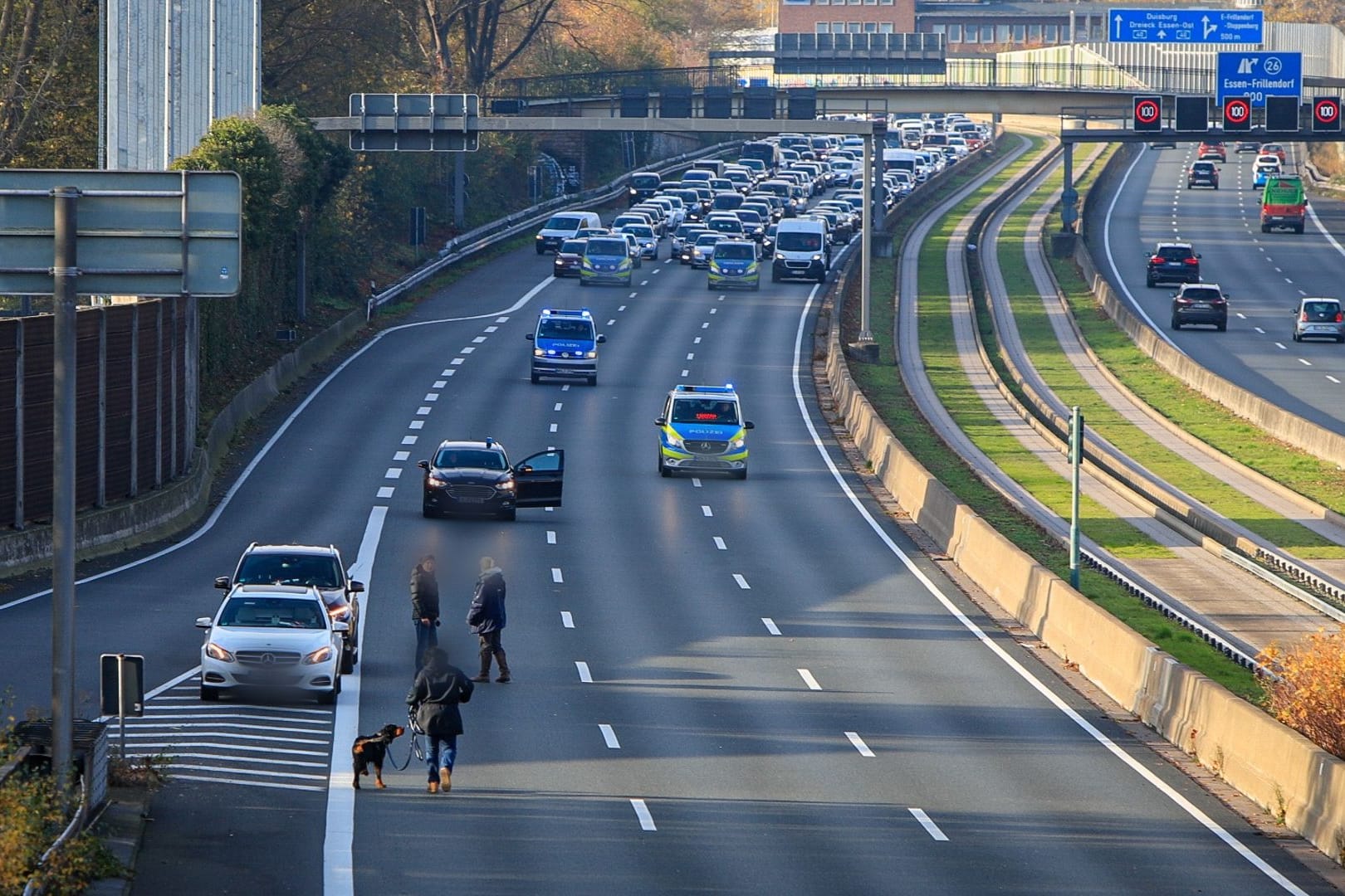 Ein sogenannter Mantrailer-Hund auf der A40 bei Essen: Für die Fährtensuche am Sonntag sperrte die Polizei mehrfach die Autobahn.