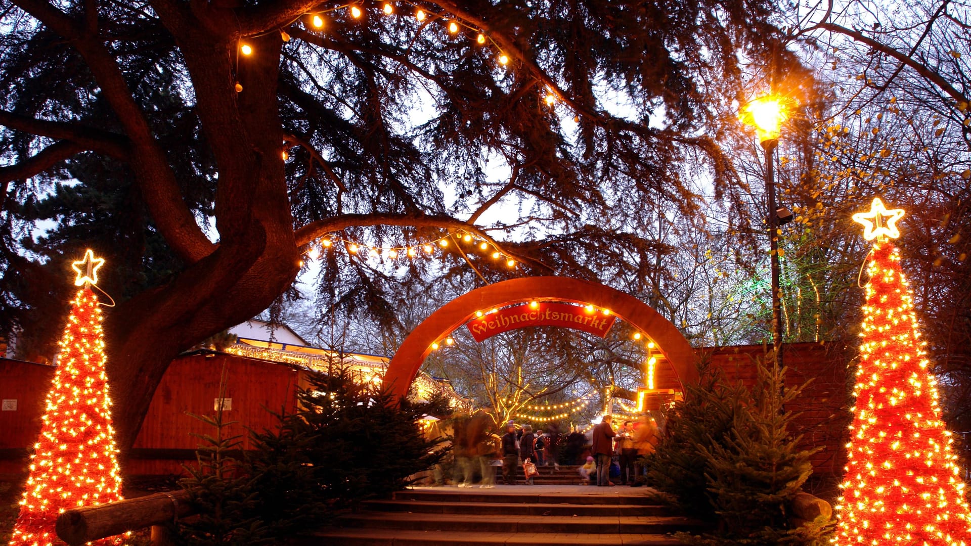 Weihnachtsmarkt am Kölner Stadtgarten