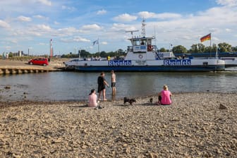 Menschen sitzen im ausgetrockneten Flussbett des Rheins im Sommer 2022: Allein in Deutschland gab es mindestens 4.500 Hitzetote.