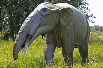 Zeichnung eines Mastodons (Symbolbild): Die Ur-Elefanten waren wohl auch in Grönland unterwegs.