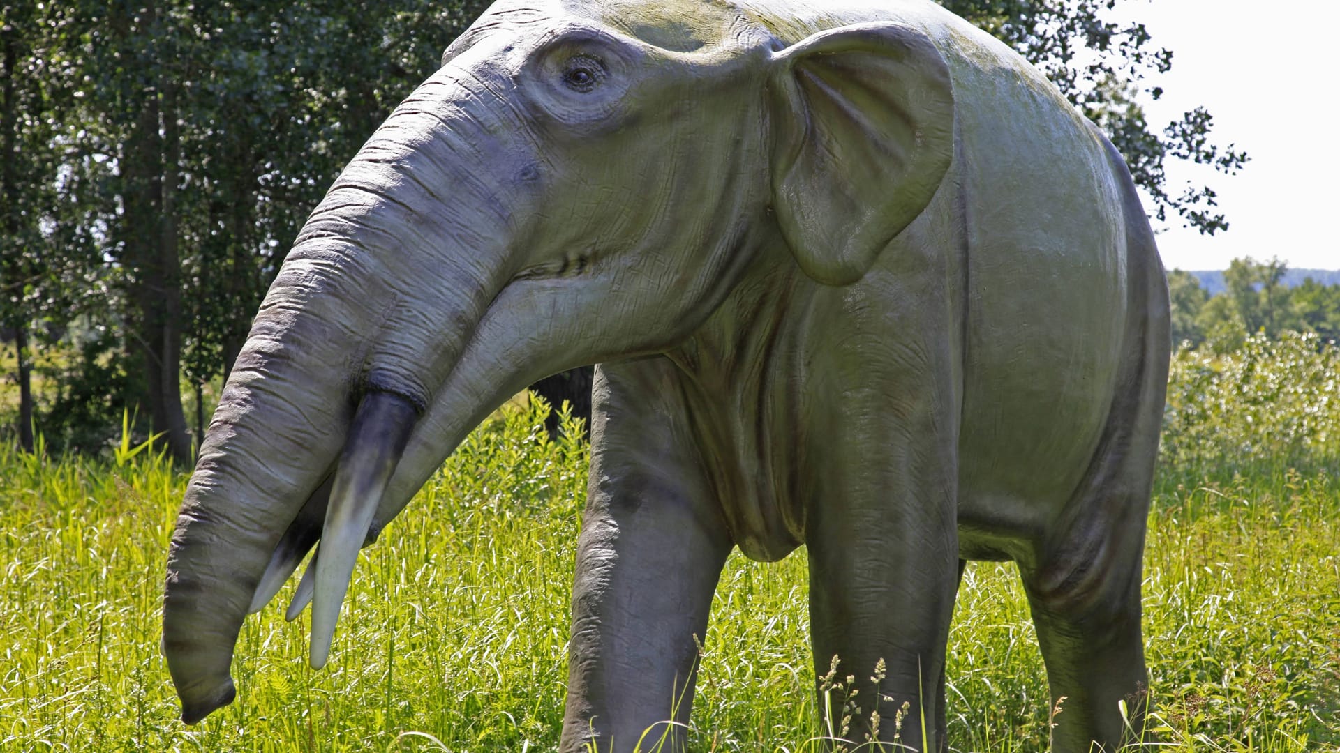 Zeichnung eines Mastodons (Symbolbild): Die Ur-Elefanten waren wohl auch in Grönland unterwegs.