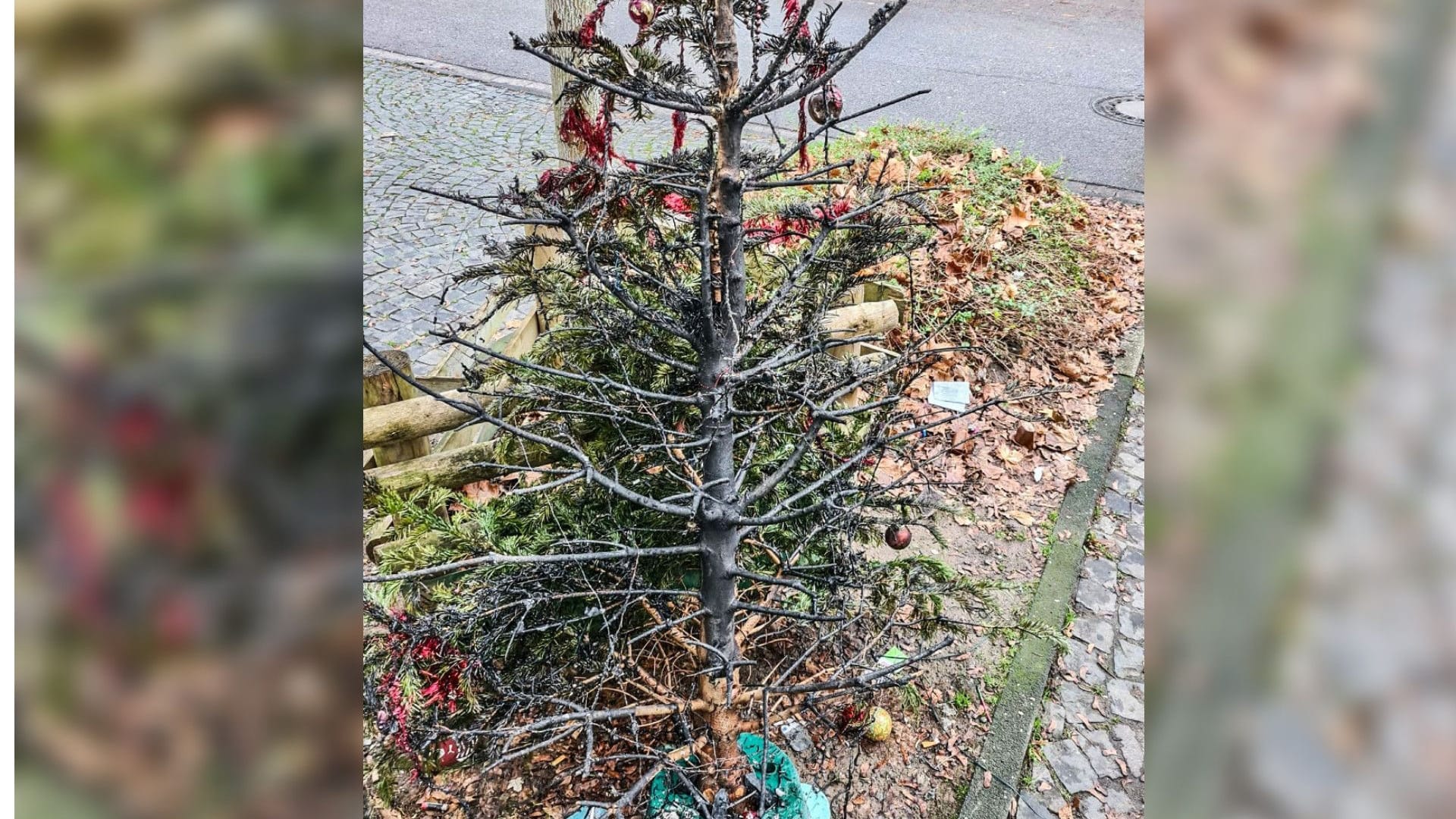 Essen Weihnachtsbaum in Flammen Mutter und fünf Kinder verletzt