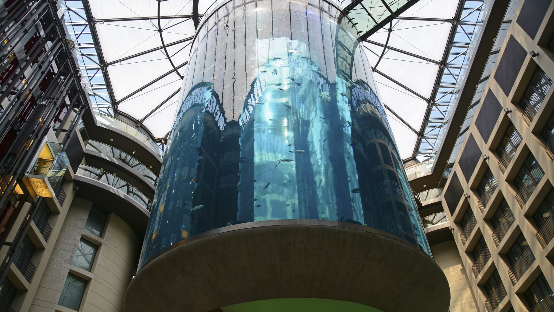Der "Aquadom" (Archivbild): Den Verletzten wünsche man eine schnelle Genesung, schreibt eine Sprecherin des Hotels. Der "Aquadom" (Archivbild): Den Verletzten wünsche man eine schnelle Genesung, schreibt eine Sprecherin des Hotels.