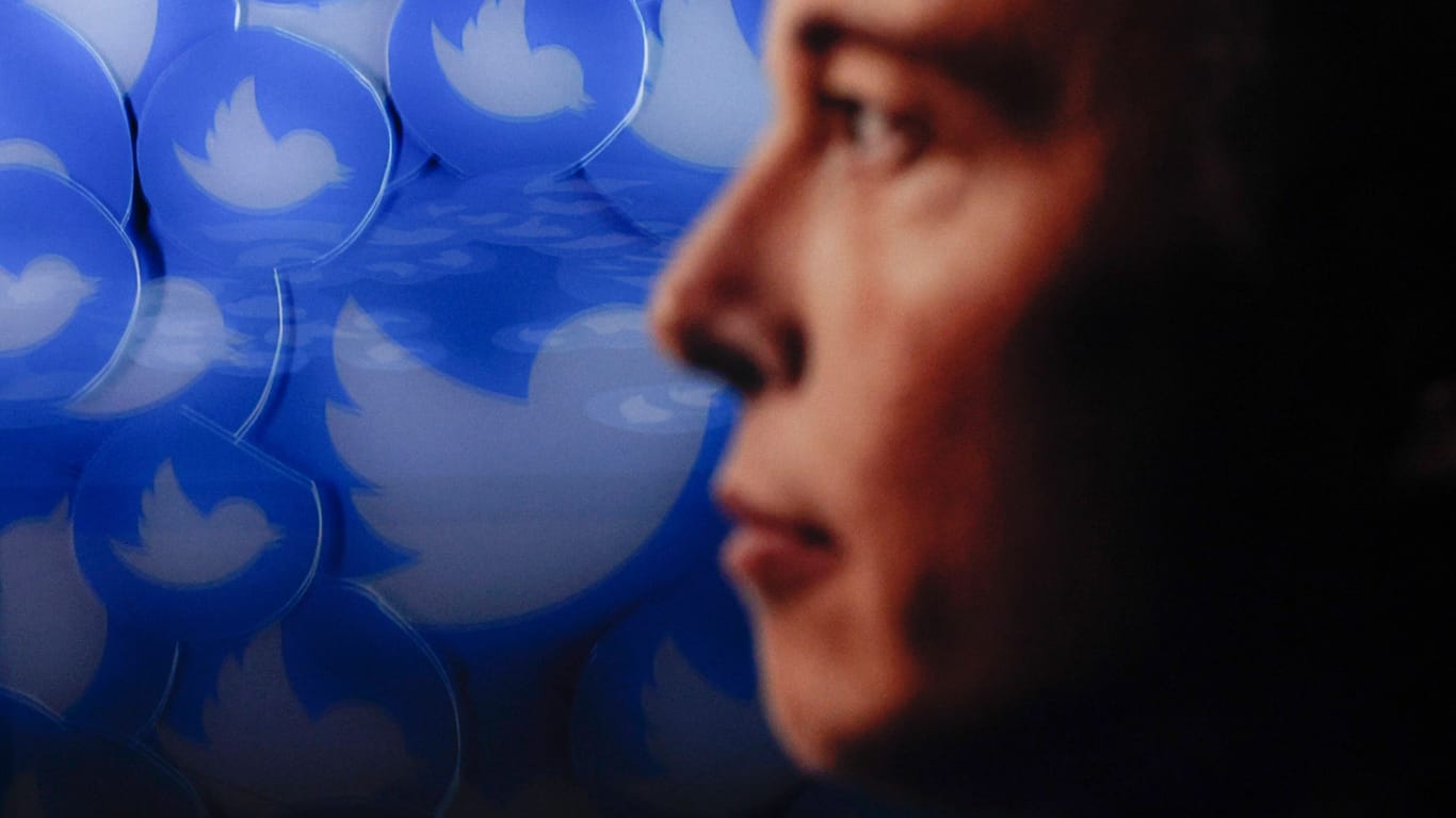 Elon Musk: Der Twitter-Chef sorgt seit der Übernahme des Konzerns immer wieder für Kontroversen.