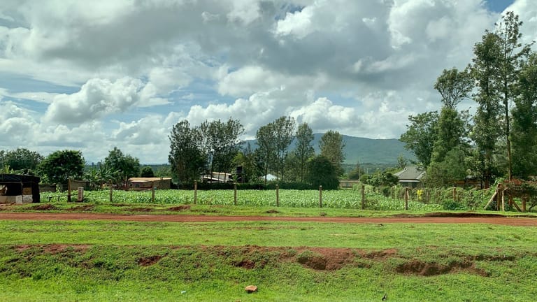 Im Umland von Nairobi ist die Landschaft fruchtbar.