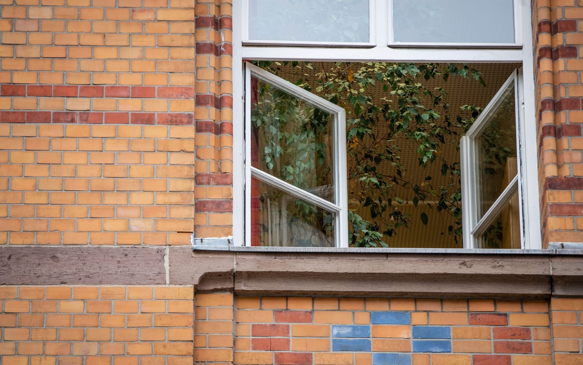 Ein Fenster einer an einer Schule: Eine Hamburger Bande hat es gezielt auf Schulen abgesehen.