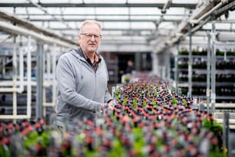 Matthias Christoph, Geschäftsführer eines Gartenbaubetriebs, steht zwischen zahlreichen Kleepflanzen mit einem kleinen Schornsteinfeger.