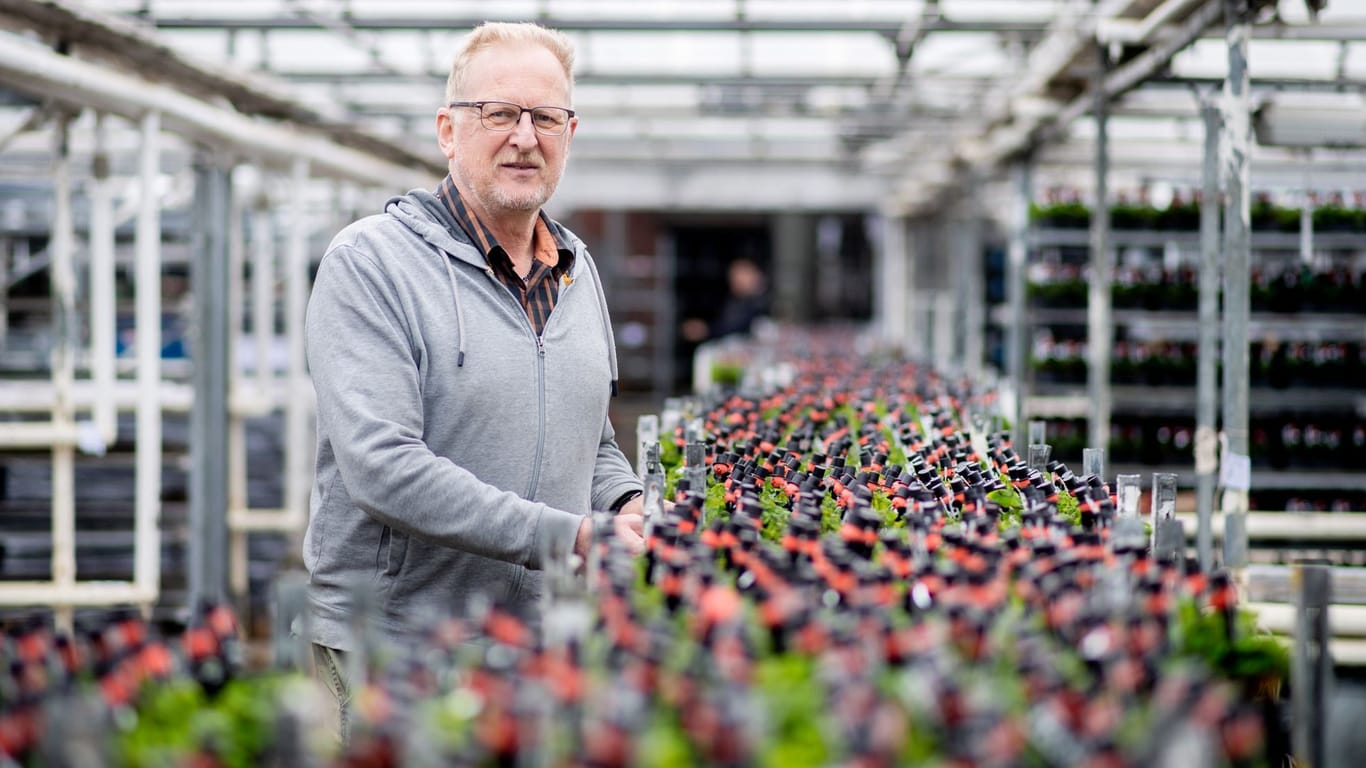 Matthias Christoph, Geschäftsführer eines Gartenbaubetriebs, steht zwischen zahlreichen Kleepflanzen mit einem kleinen Schornsteinfeger.