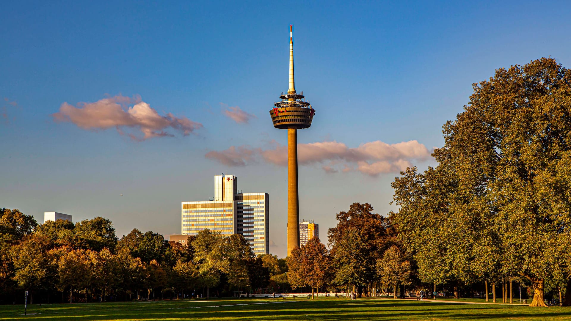 Der Innere Grüngürtel in Köln (Archivbild): Hier sollen Sportplätze saniert werden.