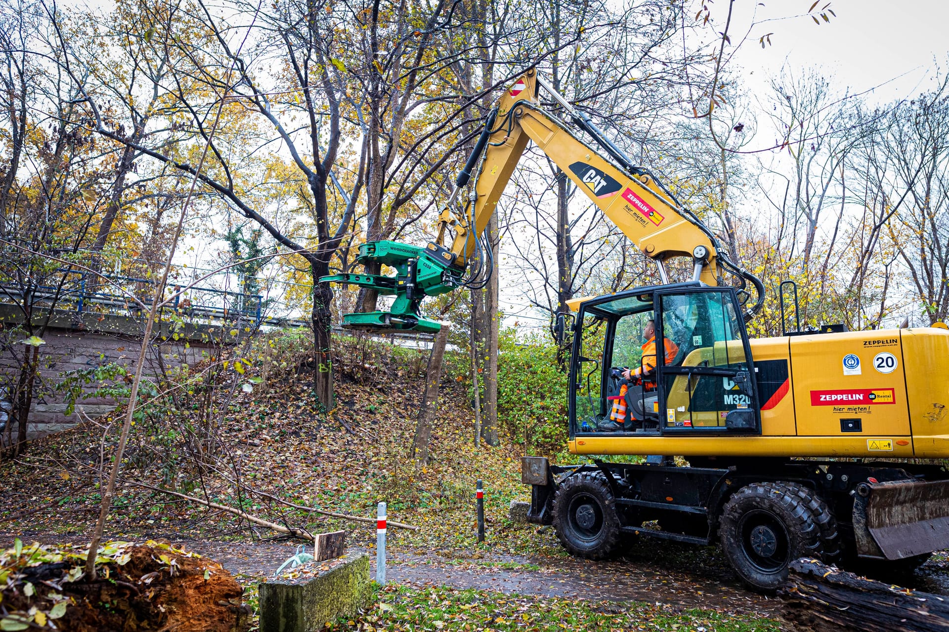 Ein Bagger rodet einen Baum: Die umstrittene Rodung des Fechenheimer Waldes hat noch nicht begonnen.