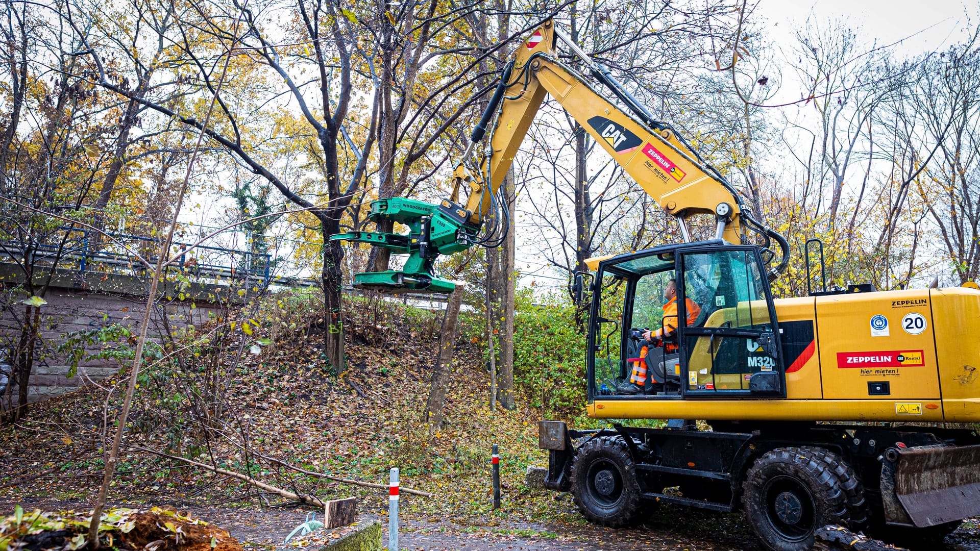 Ein Bagger rodet einen Baum: Die umstrittene Rodung des Fechenheimer Waldes hat noch nicht begonnen.