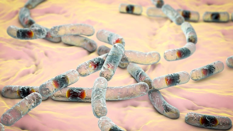 Unsichtbare Krankmacher: In einigen der untersuchten Lebensmittel wurde das Bakterium Bacillus cereus nachgewiesen, das zu Durchfall und Erbrechen führen kann.