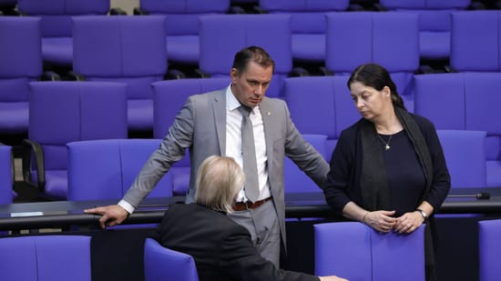 So Gut War Die Terrorverdächtige Malsack-Winkemann In Der AfD Vernetzt