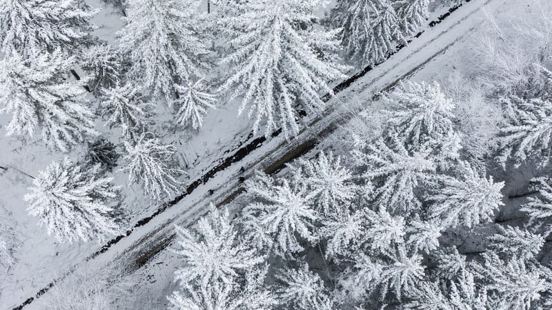 Ein Nadelwald ist mit Schnee bedeckt: Im Ruhrgebiet könnte es am Wochenende winterlich werden. Ein Nadelwald ist mit Schnee bedeckt: Im Ruhrgebiet könnte es am Wochenende winterlich werden.