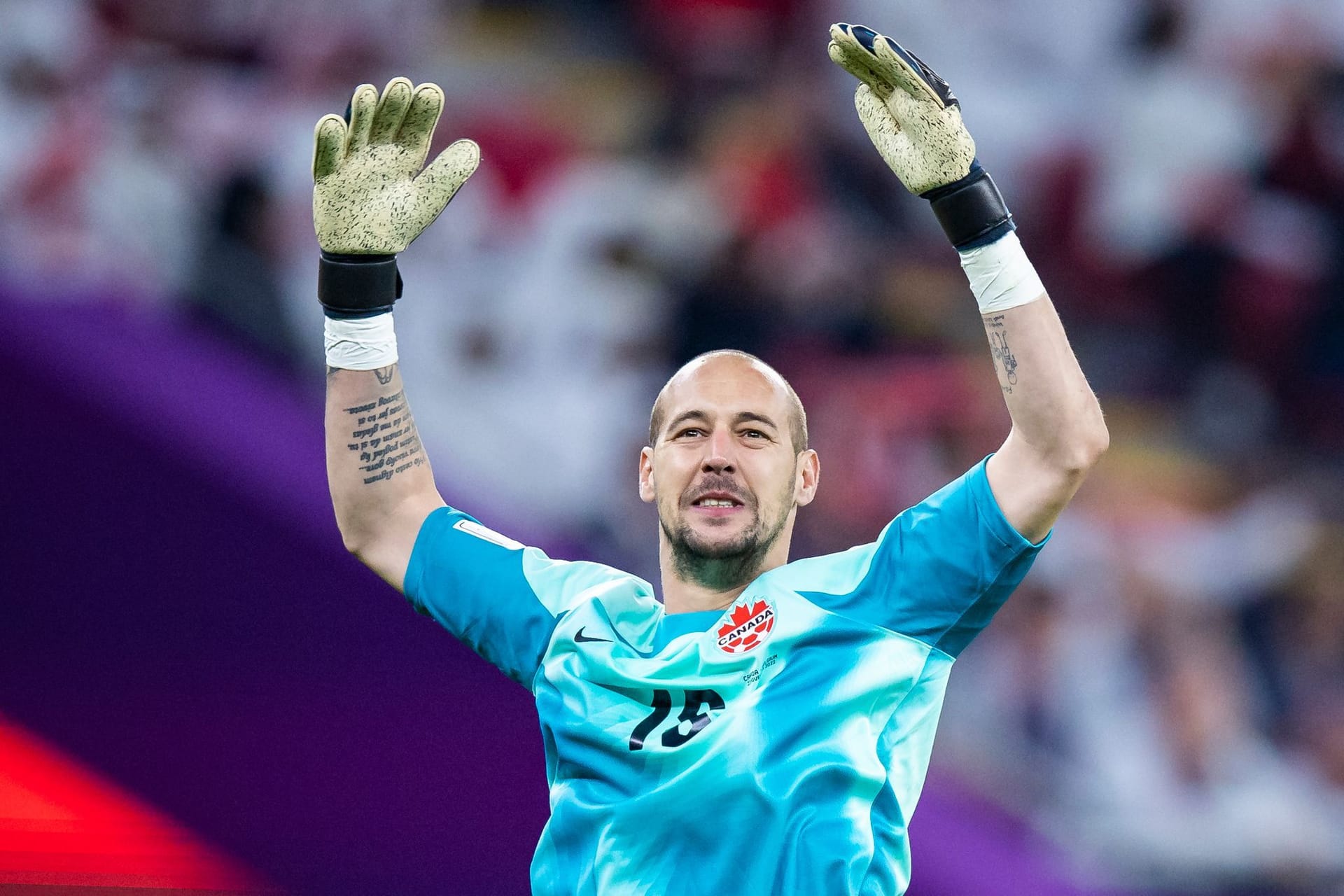 Milan Borjan