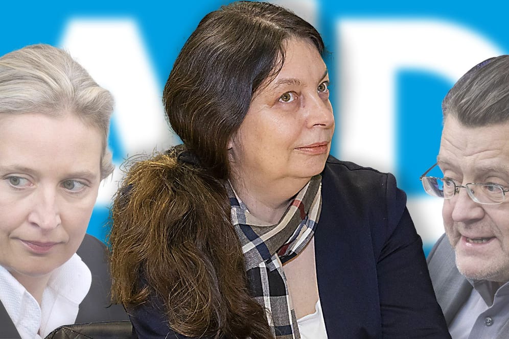 AfD-Vorsitzende Alice Weidel, Birgit Malsack-Winkemann, AfD-Abgeordneter Stephan Brandner: Die Terrorverdächtige Malsack-Winkemann war in der AfD gut vernetzt.