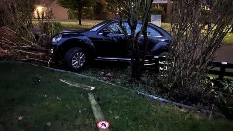 Unfallstelle in Schiffdorf: Bäume und Sträucher sind umgeknickt, eine Zaun wurde beschädigt: