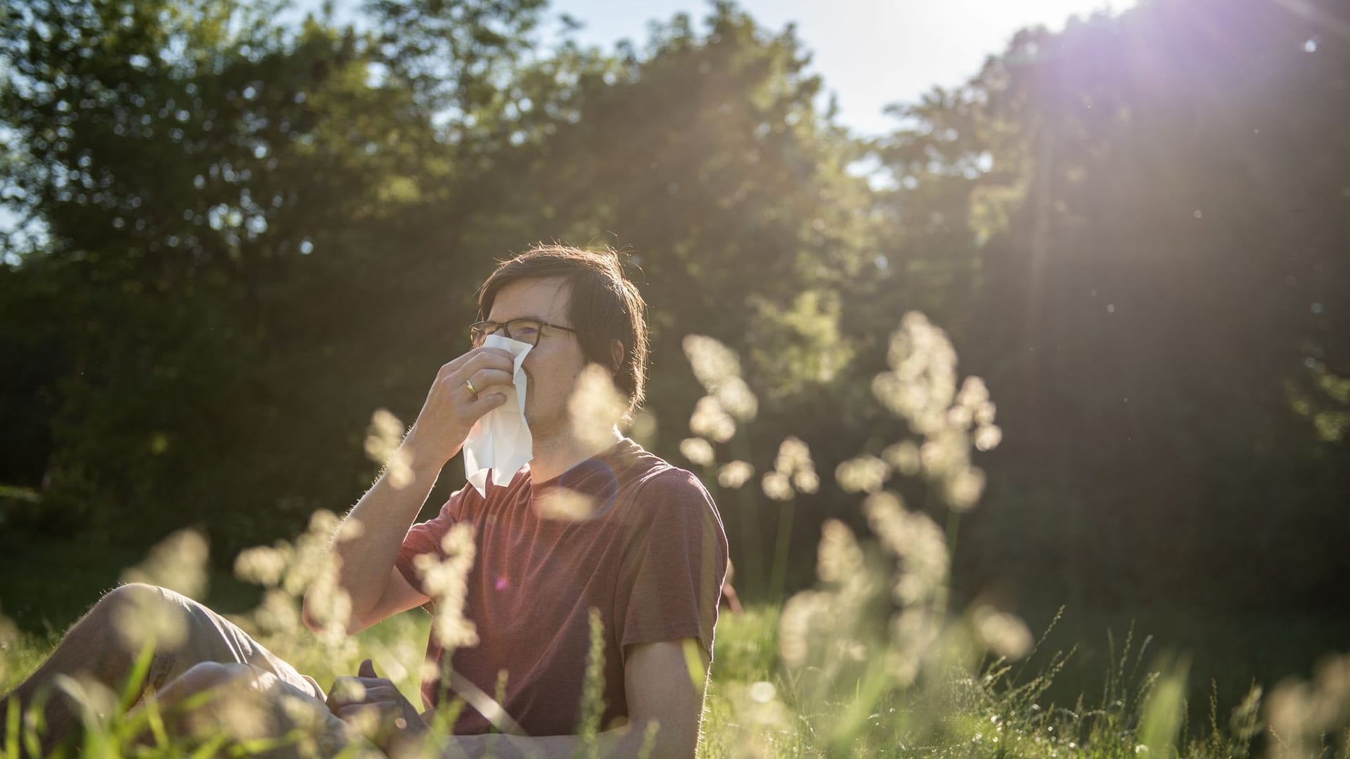 Heuschnupfen: Eine Pollenallergie kann Betroffenen den Frühling und Sommer ganz schön vermiesen.