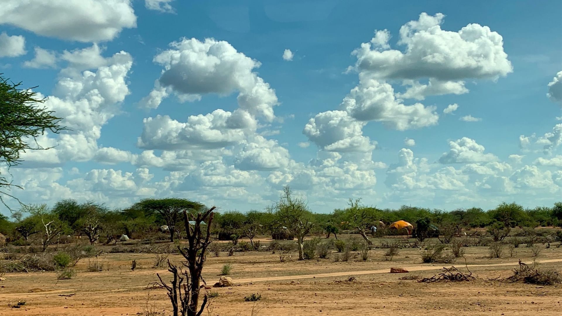 Dann wird die Landschaft karger.