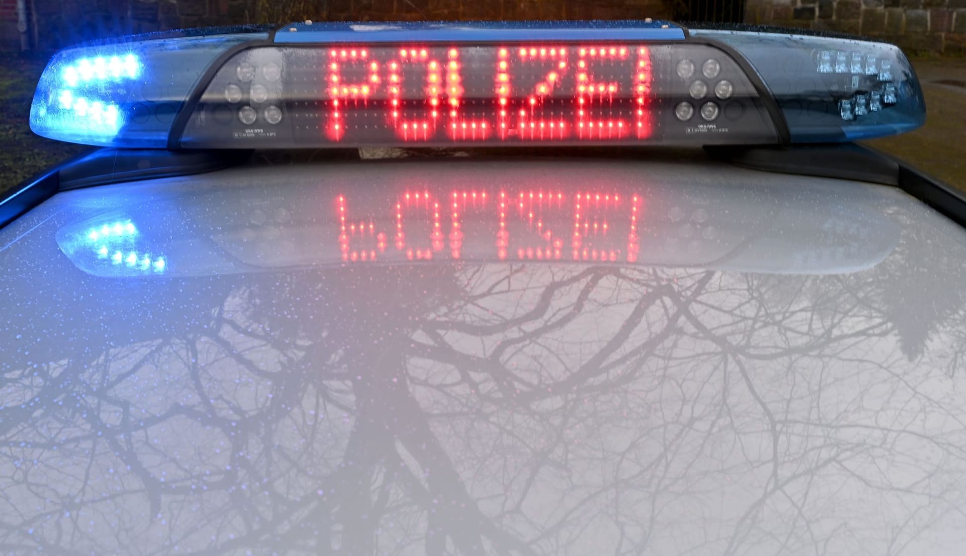 Der Schriftzug "Polizei" leuchtet auf dem Dach eines Streifenwagens (Symbolbild): Die Beamten sprachen ein Wohnungsbetretungsverbot aus.