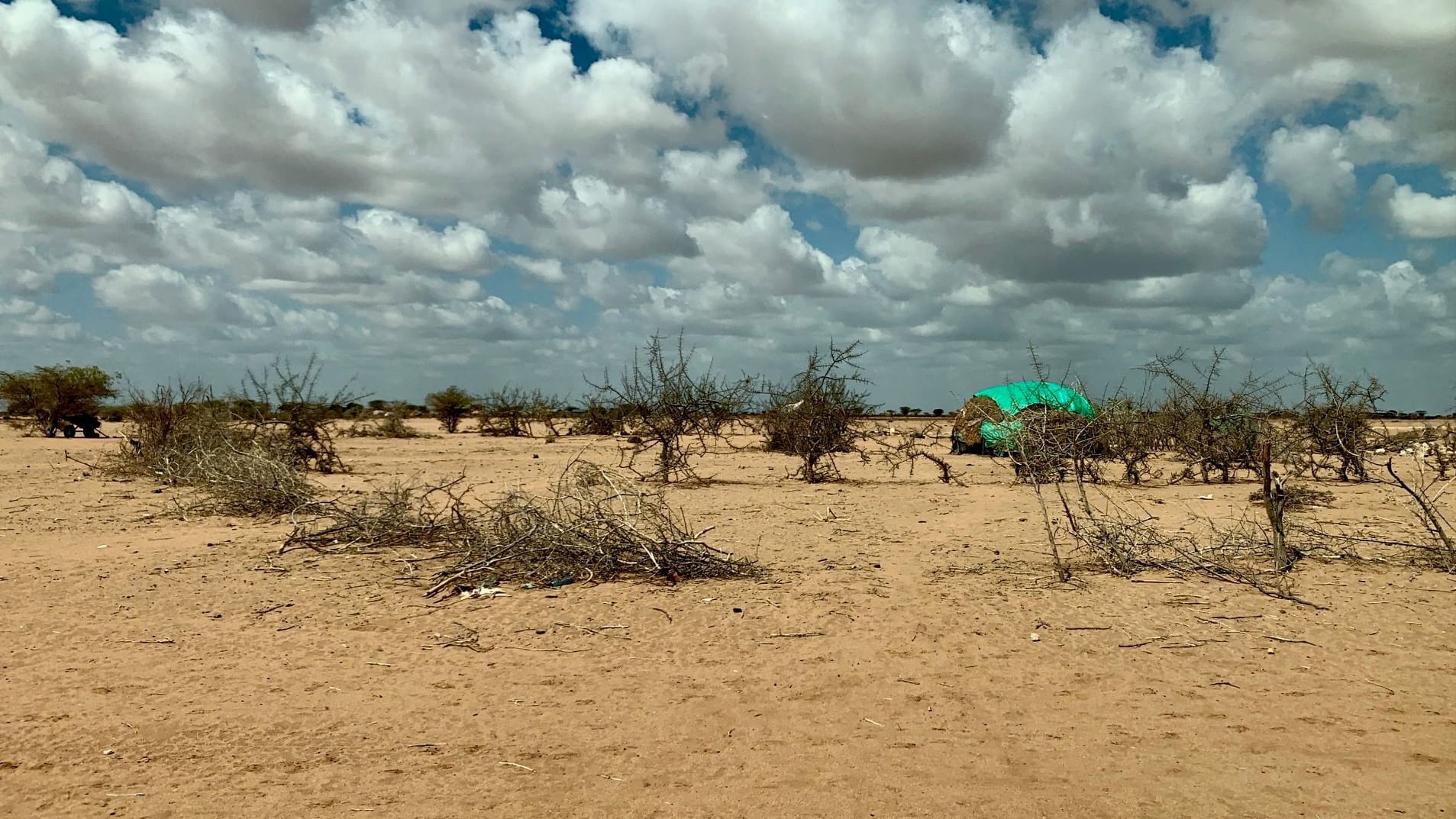 Im kargen Osten Kenias leben viele Menschen in Hütten aus Ästen.