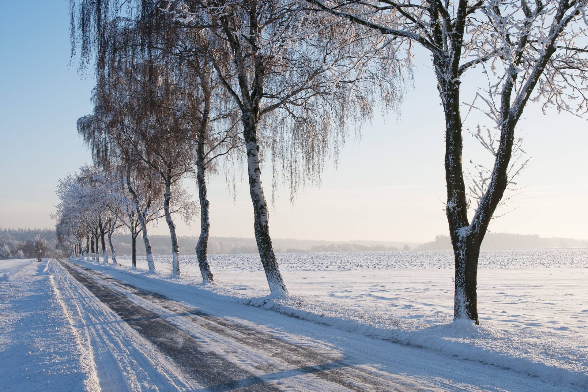 Das Wetter in Deutschland wird im Winter zunehmend wärmer. In den letzten zehn Jahren waren es im Durchschnitt 18 Frosttage weniger als in der Zeit zuvor.