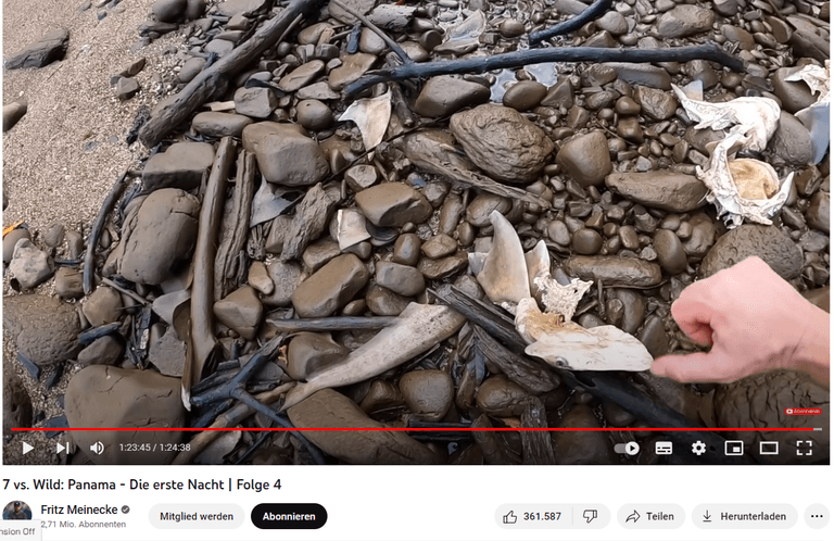 Otto entdeckt m Strand abgeschnittene Haiköpfe (Screenshot): Der Fund löste eine der vielleicht größten, spontanen Spendenaktionen in der Youtube-Geschichte aus.