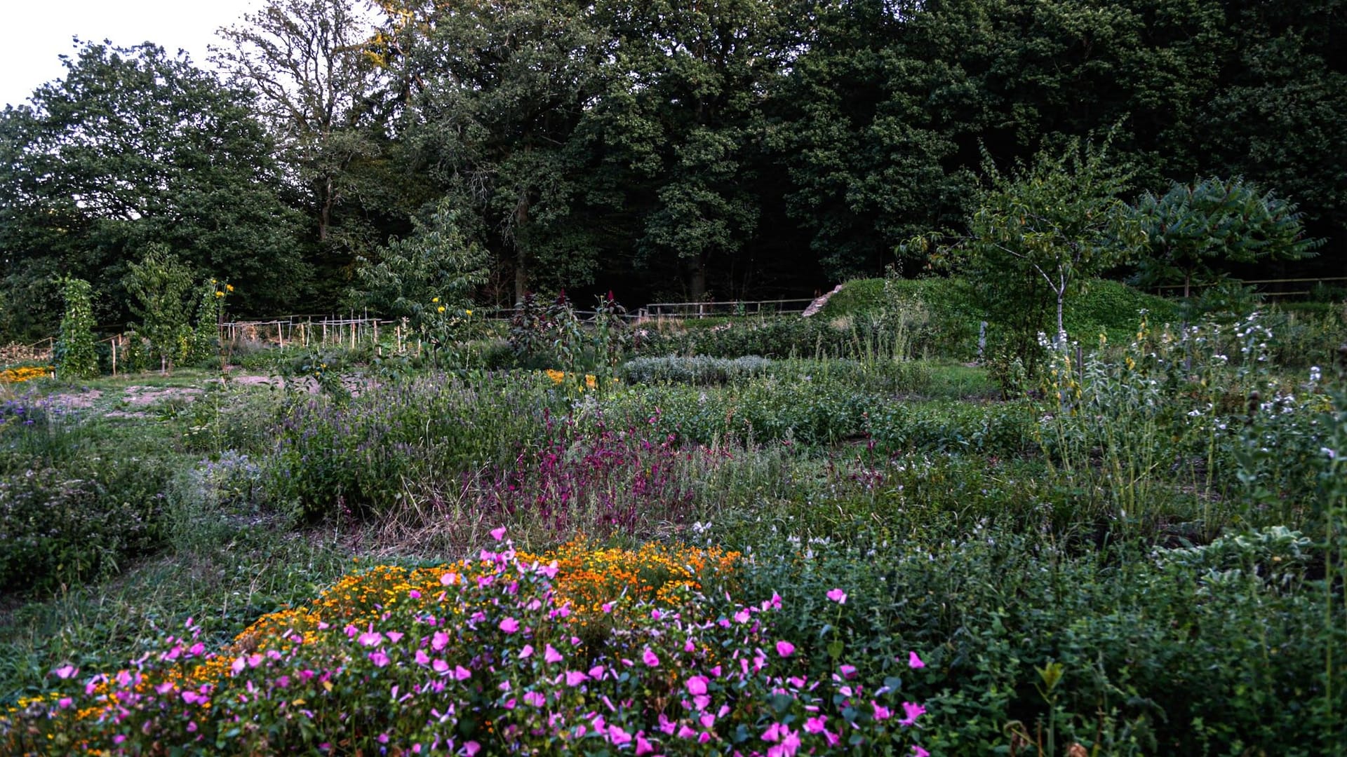 In diesem Garten bei Bad Homburg wächst das Gemüse für die Sterneküche.