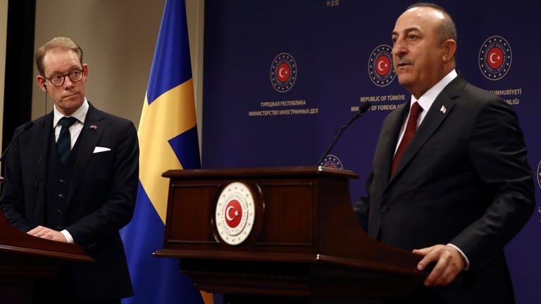 Außenminister von Schweden in der Türkei