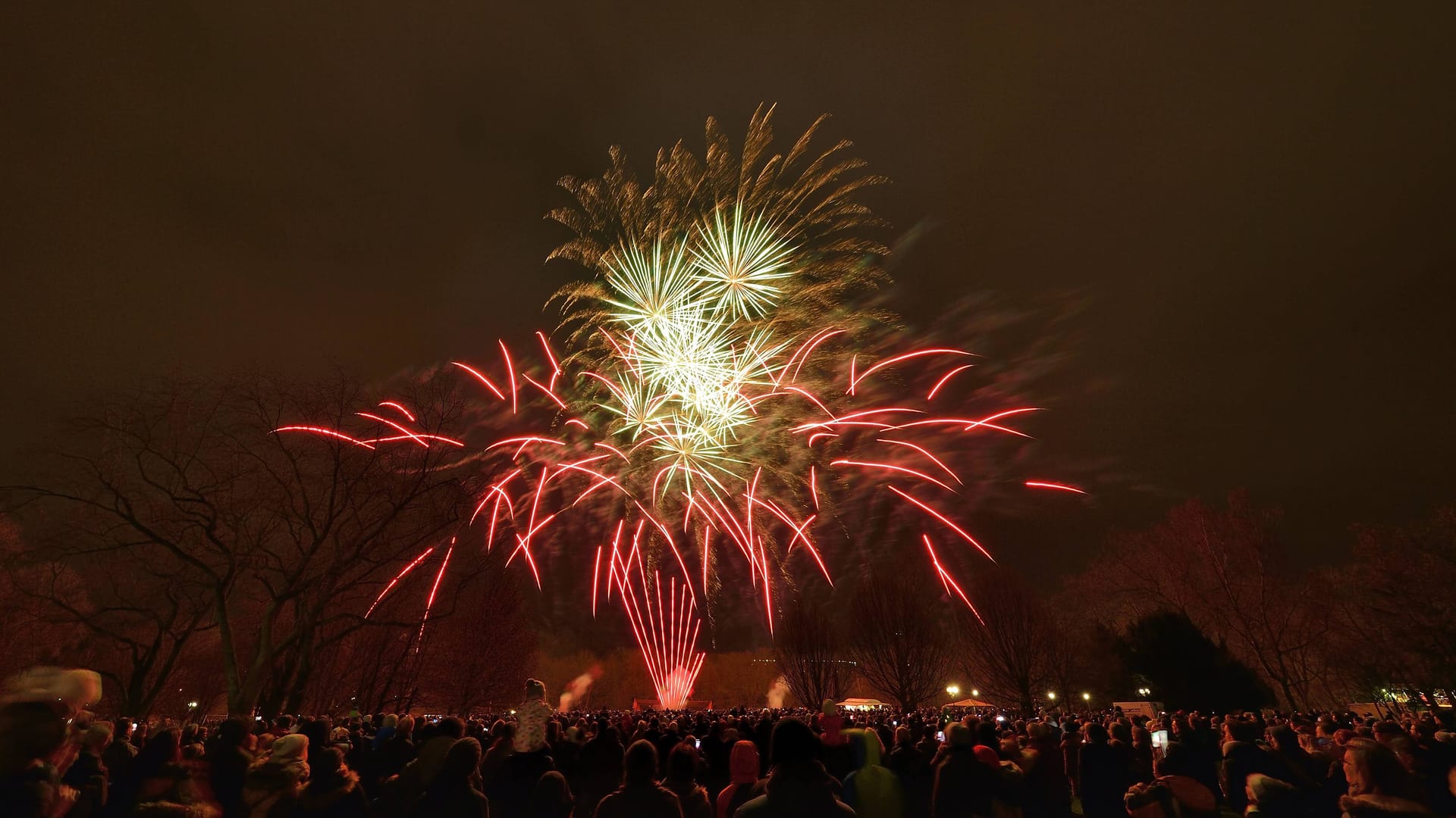 Feuerwerk im Westfalenpark (Symbolbild): Die Stadt hat zwei Böllerverbotszonen eingerichtet. Feuerwerk im Westfalenpark (Symbolbild): Die Stadt hat zwei Böllerverbotszonen eingerichtet.