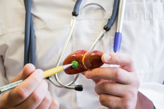 Arzt zeigt auf ein Modell mit Leber und Gallenblase