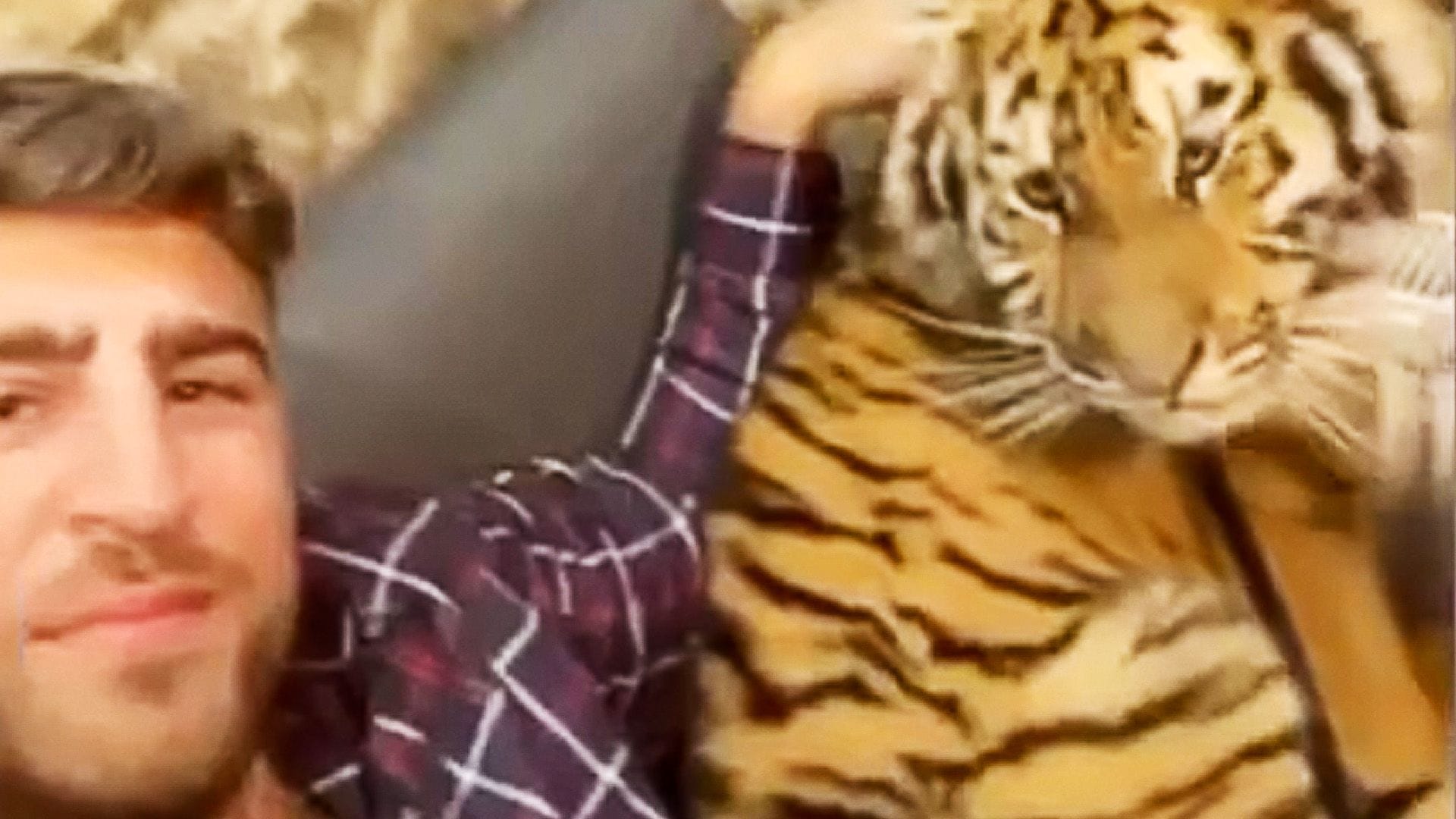 Mann posiert mit einem Tiger