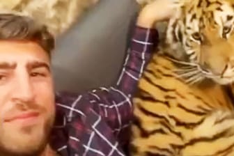 Mann posiert mit einem Tiger