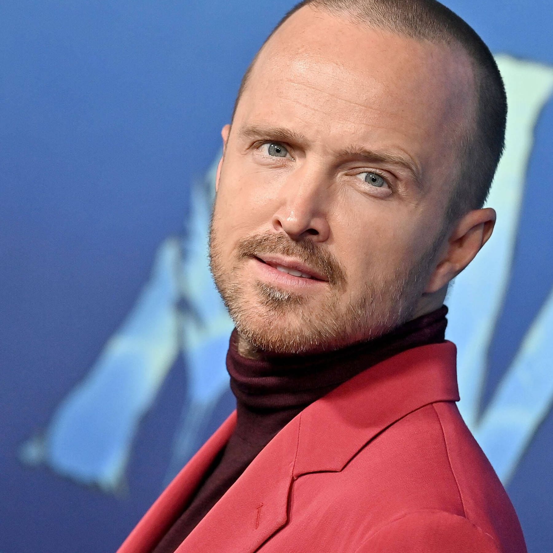 Aaron Paul Story Annabelle Paul